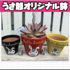 うさ爺 オリジナル鉢 3.5号 4色セット - メルカリ