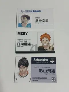 ハイキュー　ファンパーク　名刺カード　影山飛雄 日向翔陽　昼神幸郎