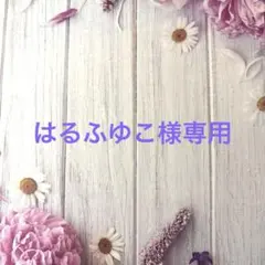 はるふゆこ様専用　オーダーページ