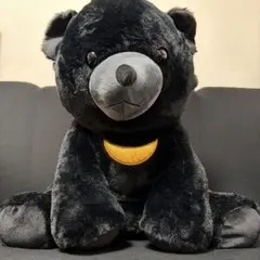 Item thumbnail for item 9926ca11-f82c-405c-863f-6c42789128fd