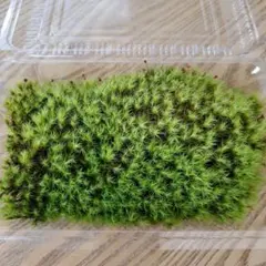 みどり様 リクエスト 3点 まとめ商品