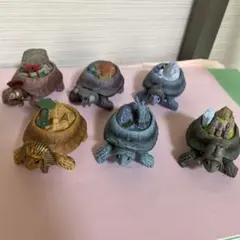 大陸ガメ　全6種コンプセット
