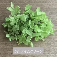 ロン美様 リクエスト 4点 まとめ商品