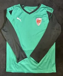 【選手支給品】京都サンガF.C. 長袖ウェア　Lのサムネイル