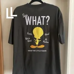 新品 トゥイーティー サガラ 刺繍 Ｔシャツ　バックサガラ　ＬＬ