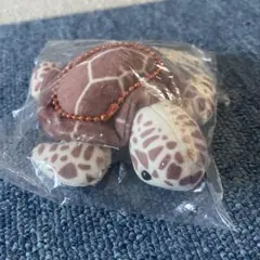 【まゆか様専用】カメのぬいぐるみ カプセルトイ ウミガメ キーホルダー