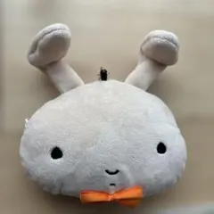 ねねちゃんうさぎ　パスケース定期入れリール付