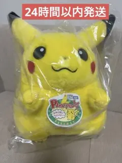 ポケモン30周年記念おかえり!ピカチュウ1/1