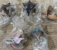 一番くじ　モンスターハンターワイルズ　C賞モンスターヘッドマグネット　フルコンプ