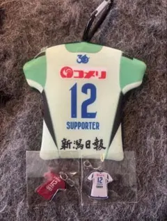 アルビレックス新潟 内山翔太 グッズセット - メルカリ