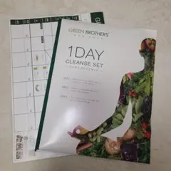 【新品未開封】　ワンデイクレンズ GB 1DAY GREEN BROTHERSのサムネイル