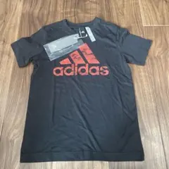 Item thumbnail for item 8305fafa-5254-49ba-9b6b-fe3131d33137