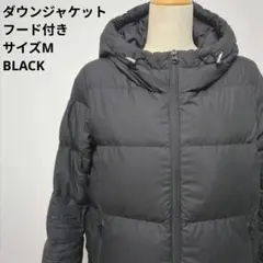 Item thumbnail for item 613341c2-b050-4b0b-b027-5845fe734770