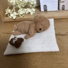 羊毛フェルト　ぬいぐるみと眠るトイプードル