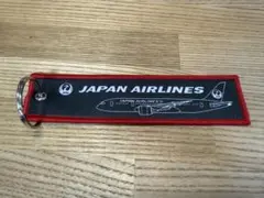 JAL エアクラフトコレクションランダムフライトタグ 787-8のサムネイル
