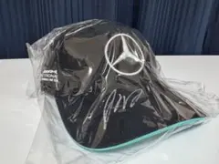 元F1ドライバー　　フェリペ・マッサ選手　直筆サイン色紙 元F1ドライバー フェリペ・マッサ選手 直筆サイン色紙