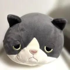 りぶはーと ねむねむアニマルズ ハチワレネコ ふく マシュマロアニマルのサムネイル