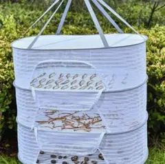 Item thumbnail for item 50444f6d-92a4-434c-922d-a3d4f56e0179