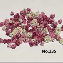 No.235かすみ草ドライフラワーMIX