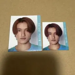 鈴木悠仁　厚紙切り抜き　Myojo2024年10月号