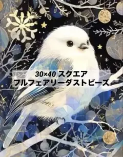 【30×40】スクエア　フルフェアリーダストビーズスクエア⭐︎シマエナガ