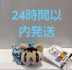 ジェ猫　GENERATIONS　 シュシュ　数原龍友