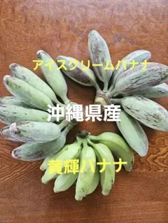 沖縄県産　バナナ3種類　食べ比べセット　希少　 これぜ～んぶ　おまけ付きのサムネイル