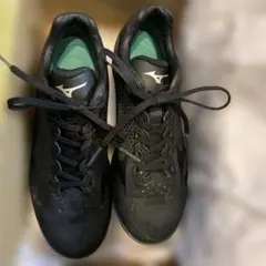 Item thumbnail for item 62d004cb-9346-43ec-86c9-5b705b1a59a6