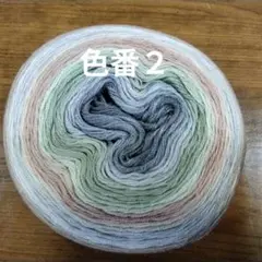 ユザワヤ プレシャス コットン色番号2 200g約800m レシピ付き