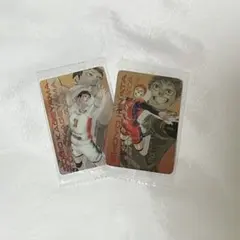 ハイキュー キラピカード 日向翔陽 影山飛雄 KIRA☆PICARD