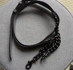 ほぼ未使用COACH レザー ショルダーストラップ グレー
