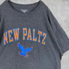 カレッジ【Champion】US古着 グッドレギュラー Tシャツ 2XL グレー