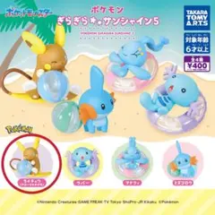 ポケモン ぎらぎらサンシャイン5 アローラライチュウ