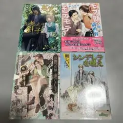 BL 小説　セット　2冊650円〜