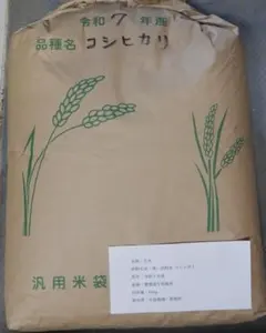 令和7年産 コシヒカリ 玄米25kg 愛媛県産 減農薬 農家直送 送料込み　18のサムネイル