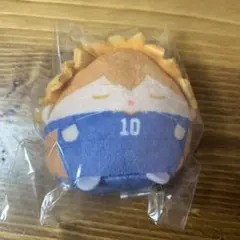 ハイキュー　くじメイト　ぬいくじ　E賞　てのりんず　 日向翔陽