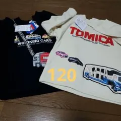 Item thumbnail for item 47a8ff6e-cb12-4ec0-a945-8e9d61522442