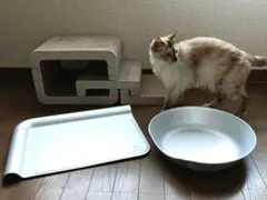 猫用品3点セット Petio アルミ 冷却 猫壱 ステップ 爪とぎのサムネイル