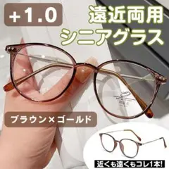 遠近両用 シニアグラス ＋1.0 ブラウン 多焦点 老眼鏡 男女兼用 軽量タイプ