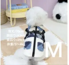 Item thumbnail for item e7366382-0219-40a9-bf56-bbb8a11c04b5