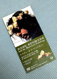 (8cmCD)デイブ・スチュワート「Crown Of Madness」