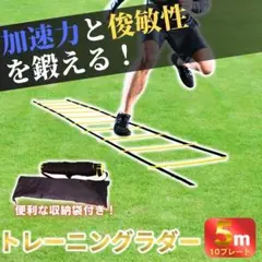 Item thumbnail for item 0a1121bd-21d1-4220-a564-dd3188fa2df9