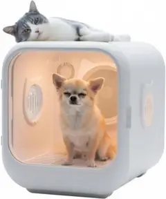 Item thumbnail for item b60dc49c-8d96-4a4a-90b6-082a1db069ba