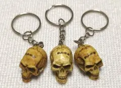 Item thumbnail for item 21bd1a1d-e7ce-43b1-98db-d16d5688340c