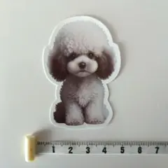 犬　トイプードル　シール