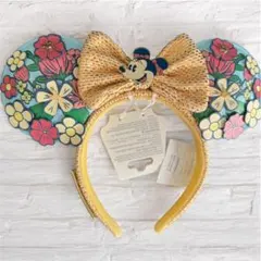 在庫ラスト新品未使用！WDW EPCOT フロリダ レミー カチューシャ
