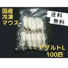 新品 最終価格 アライくん 94年1個、95年製9個、10個セット(外箱付