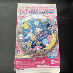 サンリオキャラクターキラキラBIG缶バッジ2総集合のサムネイル