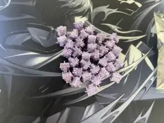 Purple Lotus HE Switch【磁気スイッチ】35個