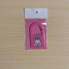 SEVENTEEN ミニティーン カラビナ エスクプス
